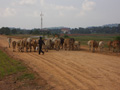 gal/07 - Sihanoukville/_thb_RIMG1980.jpg